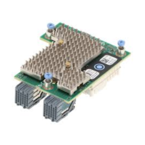 Dell QL41262HMKR-DE FastLinQ 41262 Dual Port 25GbE Mezzanine Card